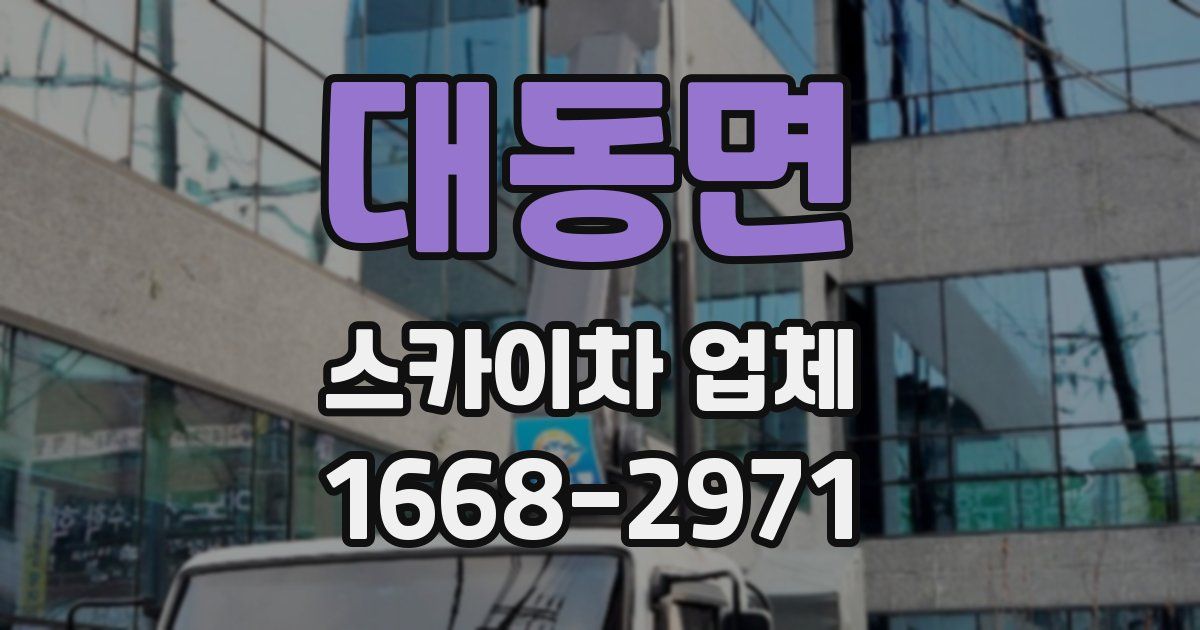 대동면 스카이차 업체