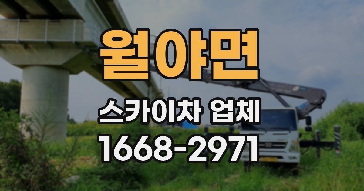 월야면 스카이차 업체