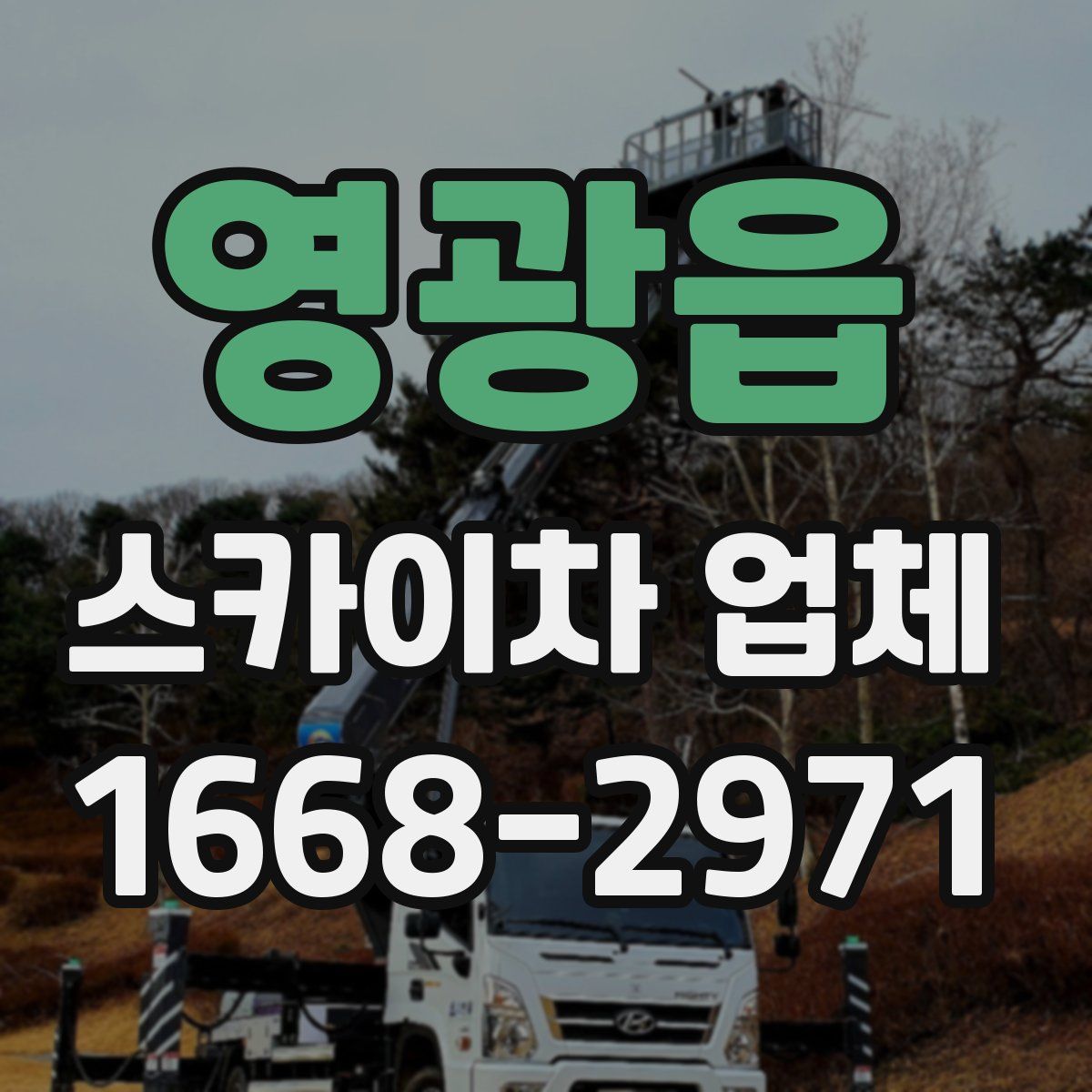 영광읍 스카이차 업체