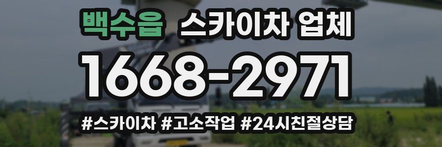 백수읍 스카이차 업체