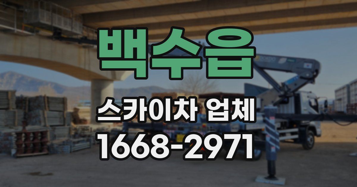 백수읍 스카이차 업체
