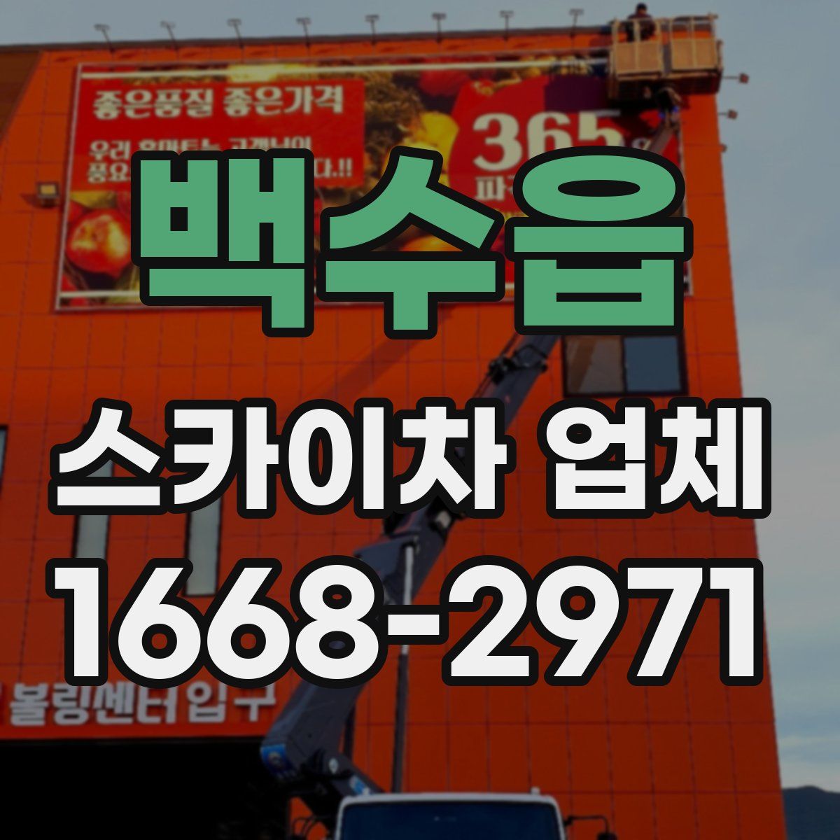 백수읍 스카이차 업체