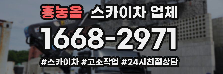 홍농읍 스카이차 업체