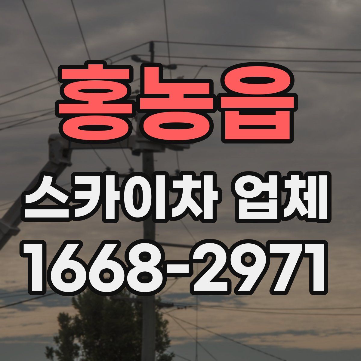 홍농읍 스카이차 업체