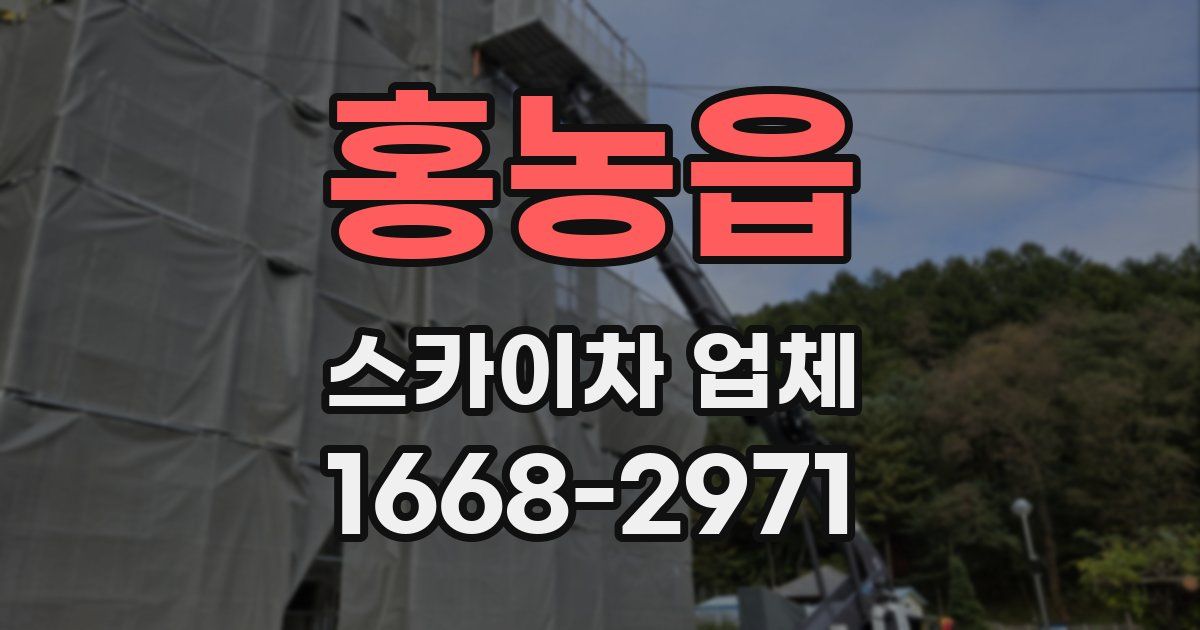 홍농읍 스카이차 업체
