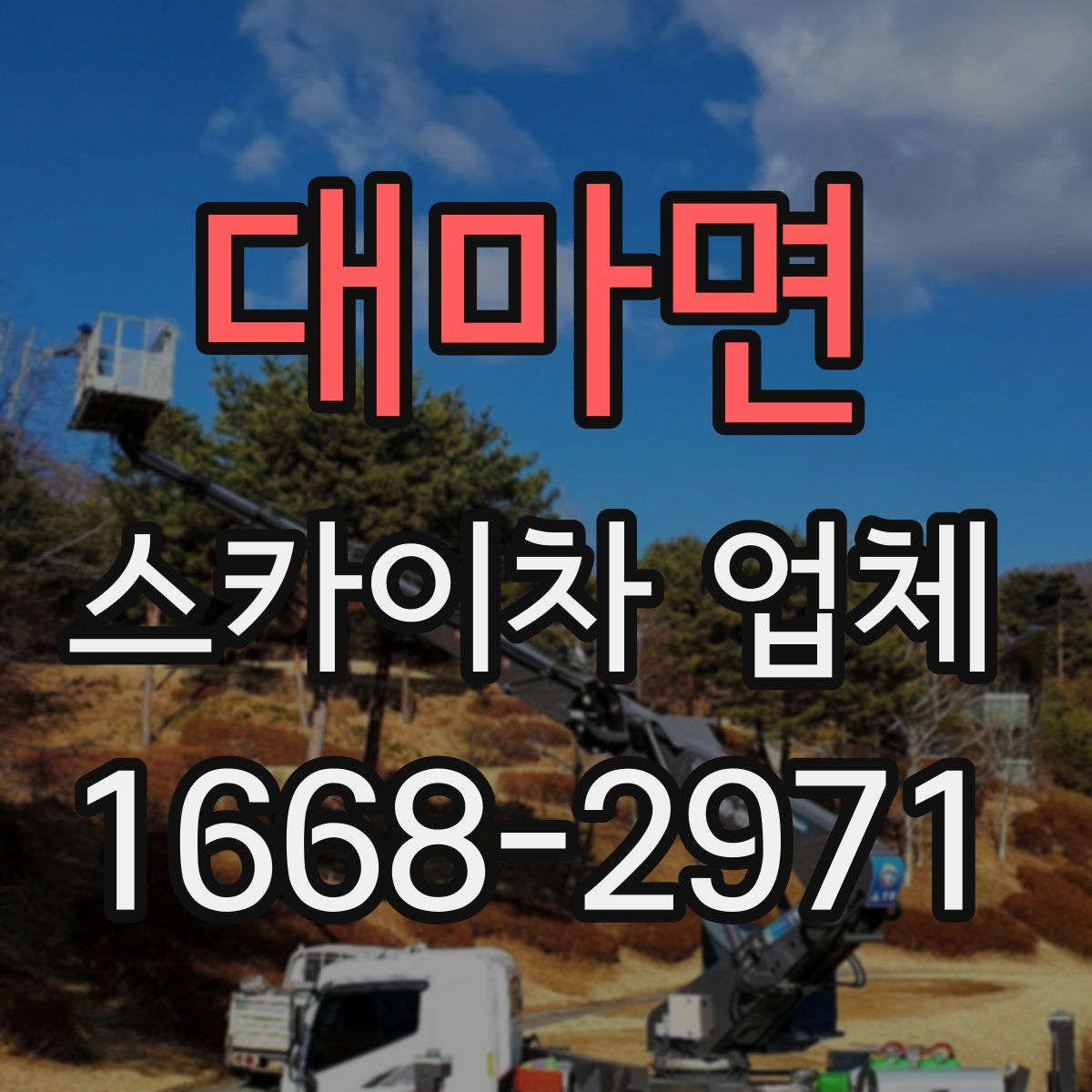 대마면 스카이차 업체