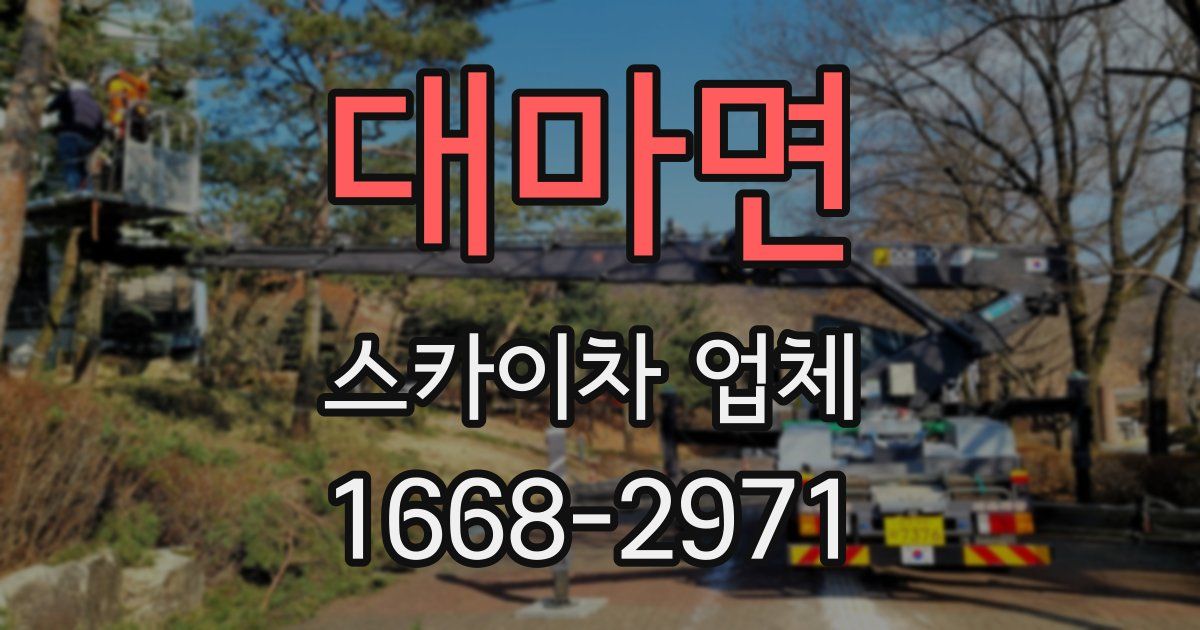 대마면 스카이차 업체