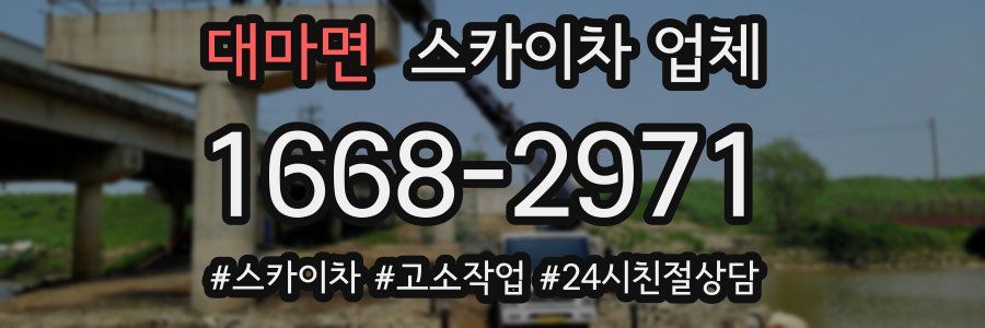 대마면 스카이차 업체