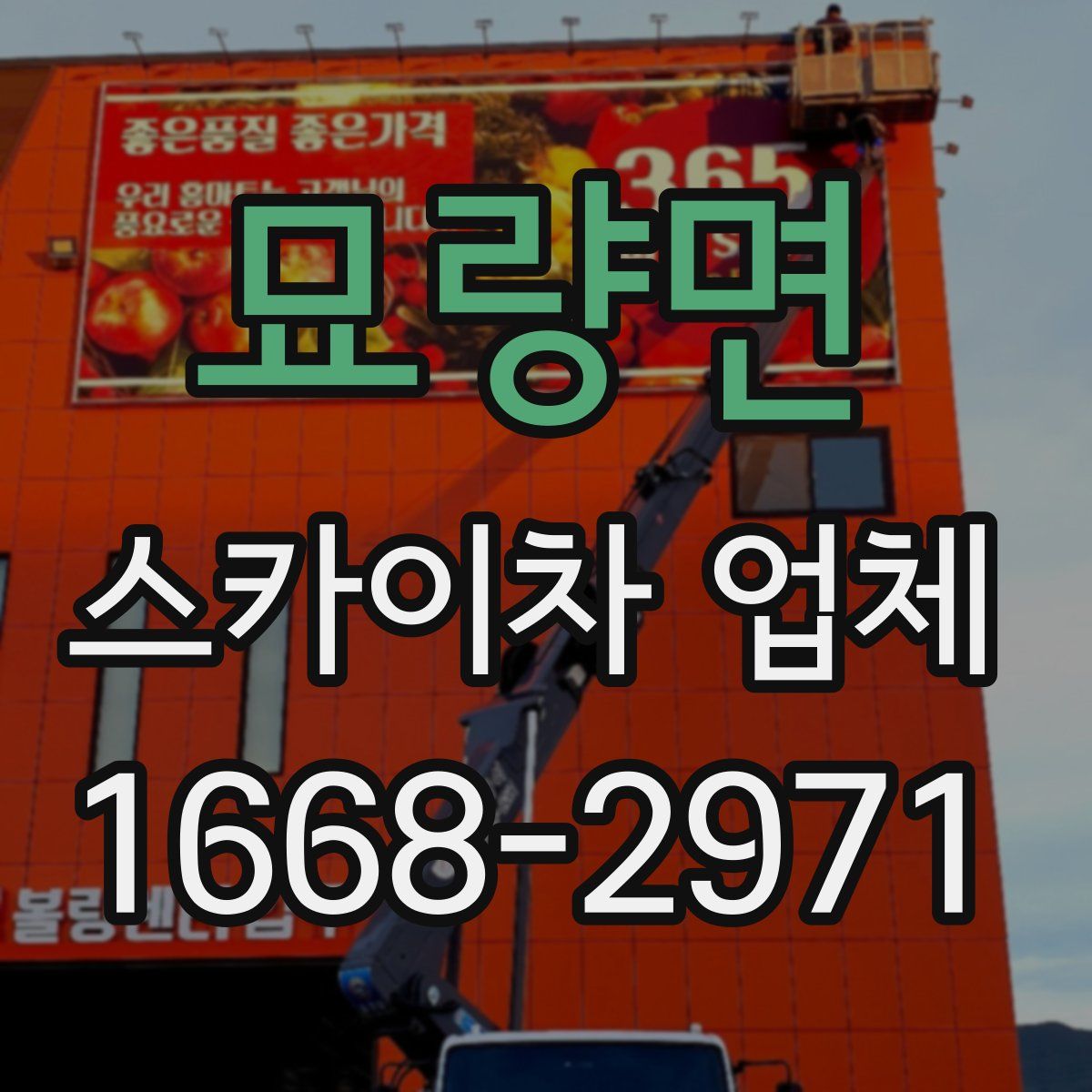 묘량면 스카이차 업체