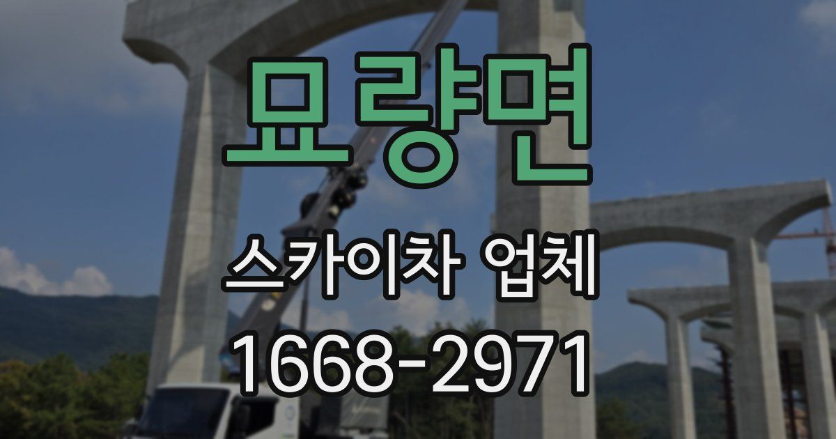 묘량면 스카이차 업체