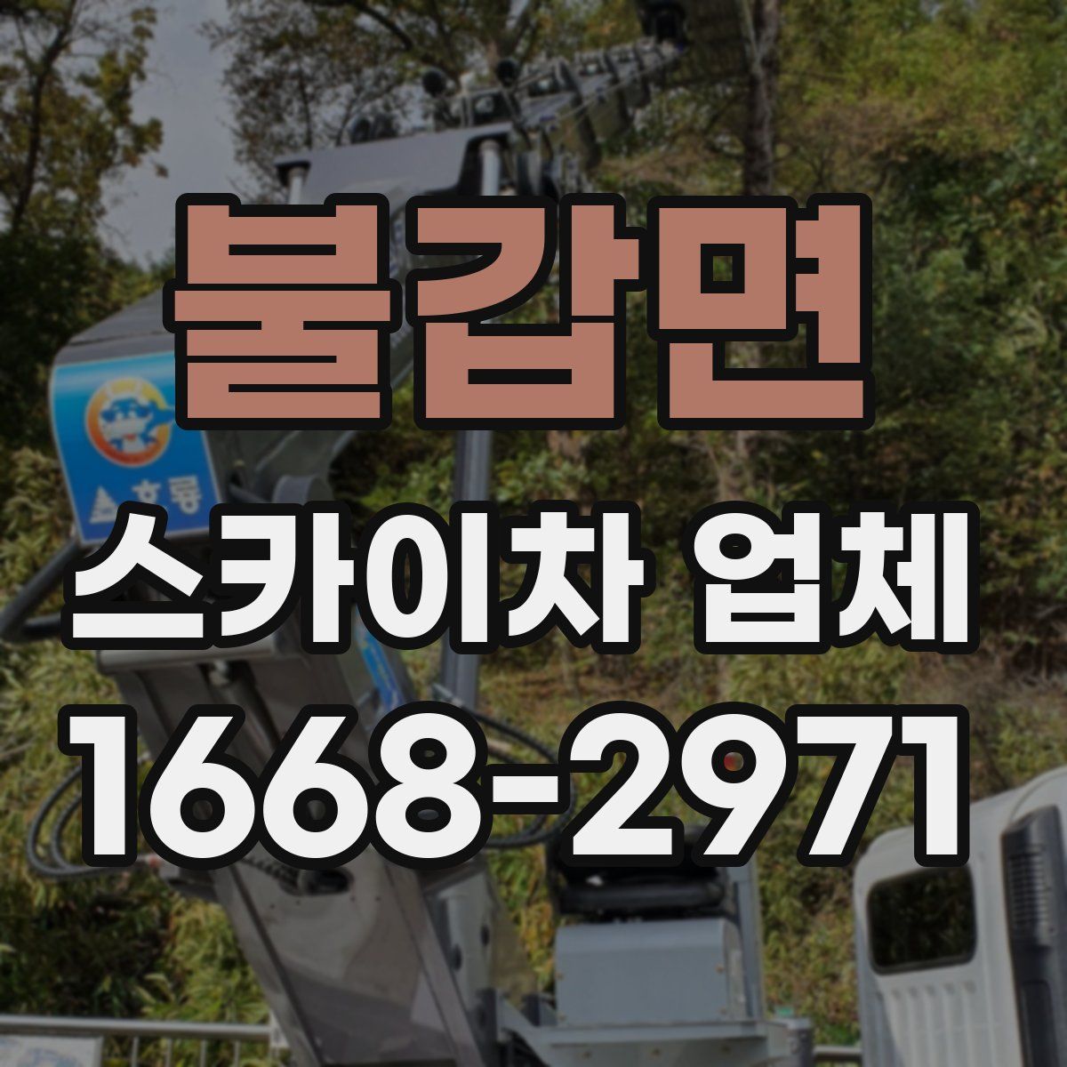 불갑면 스카이차 업체
