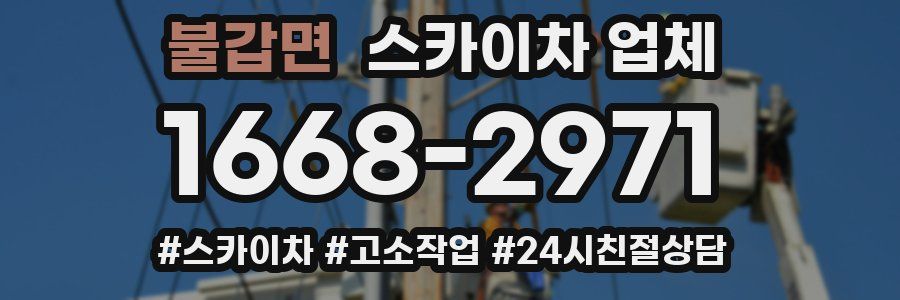 불갑면 스카이차 업체
