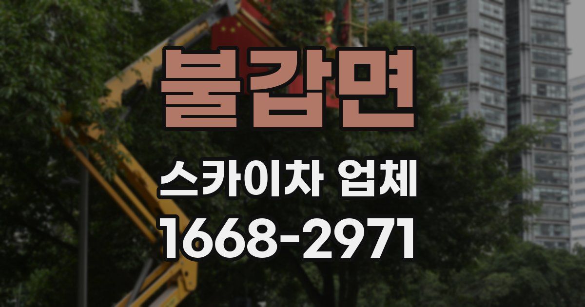 불갑면 스카이차 업체