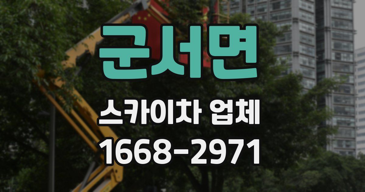 군서면 스카이차 업체