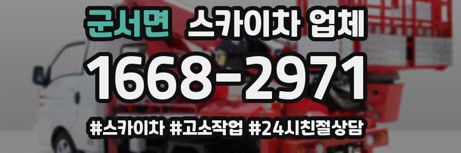 군서면 스카이차 업체