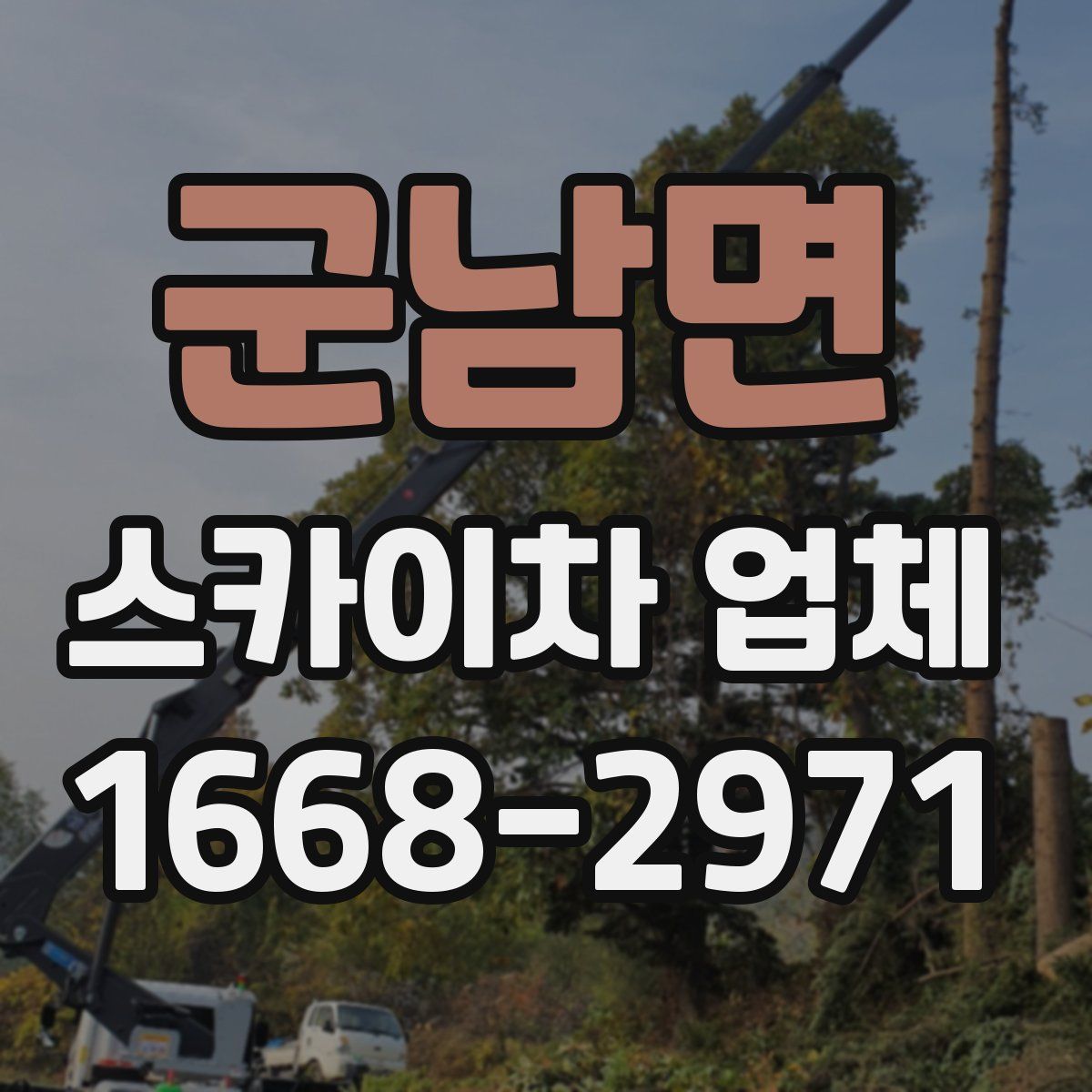 군남면 스카이차 업체