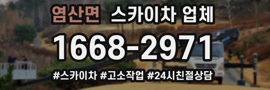 염산면 스카이차 업체