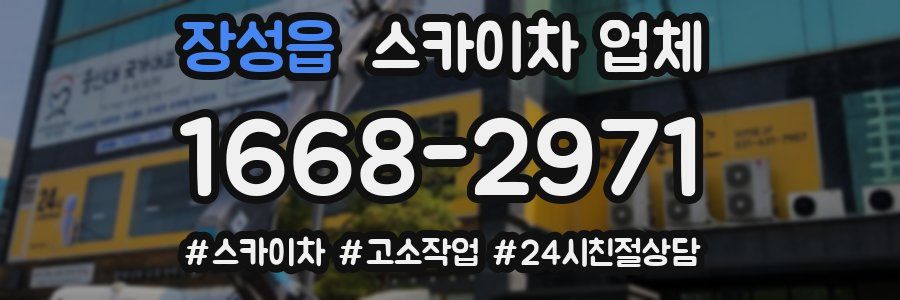 장성읍 스카이차 업체