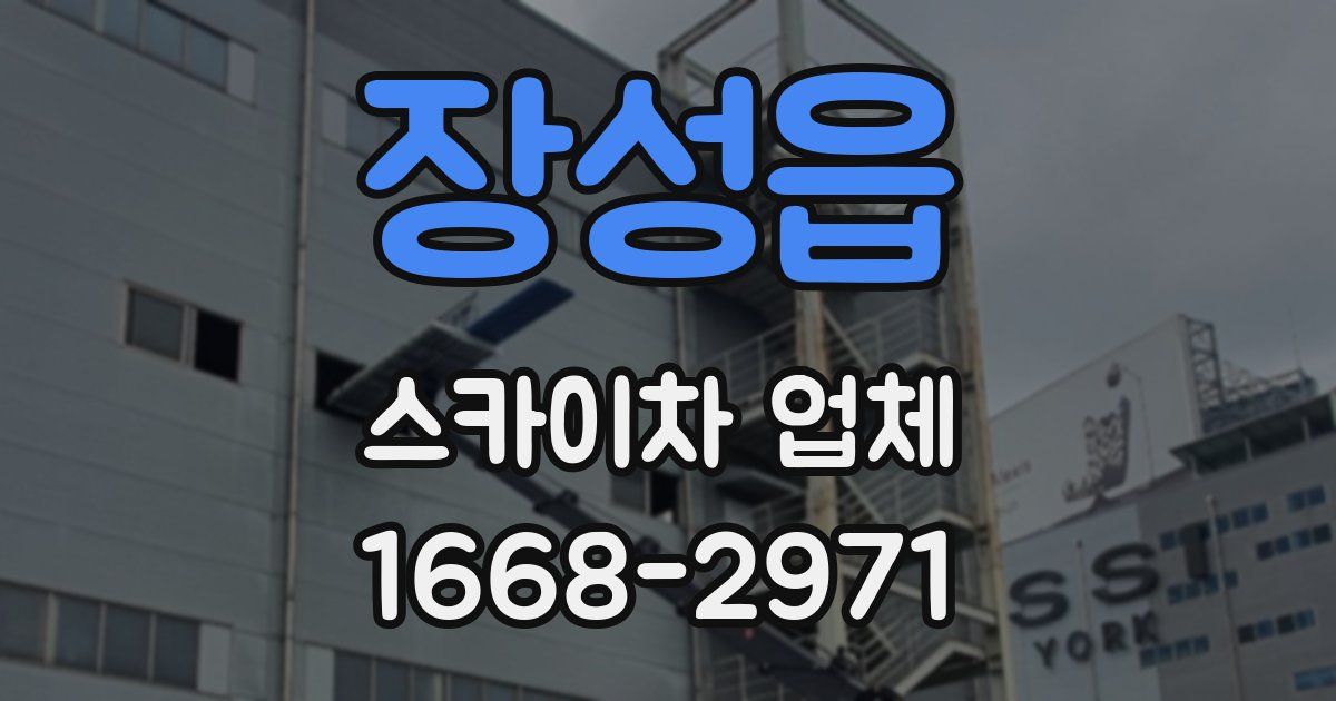 장성읍 스카이차 업체