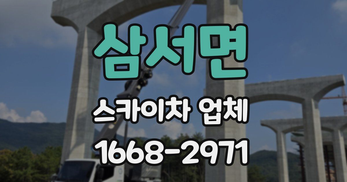 삼서면 스카이차 업체