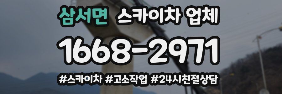 삼서면 스카이차 업체