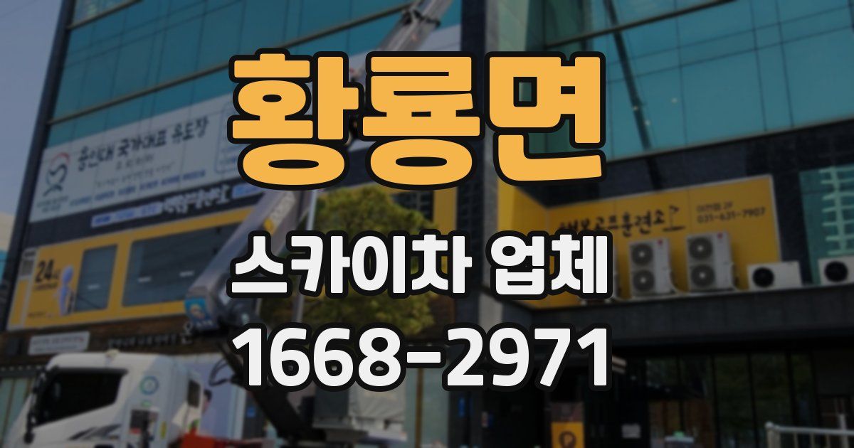 황룡면 스카이차 업체