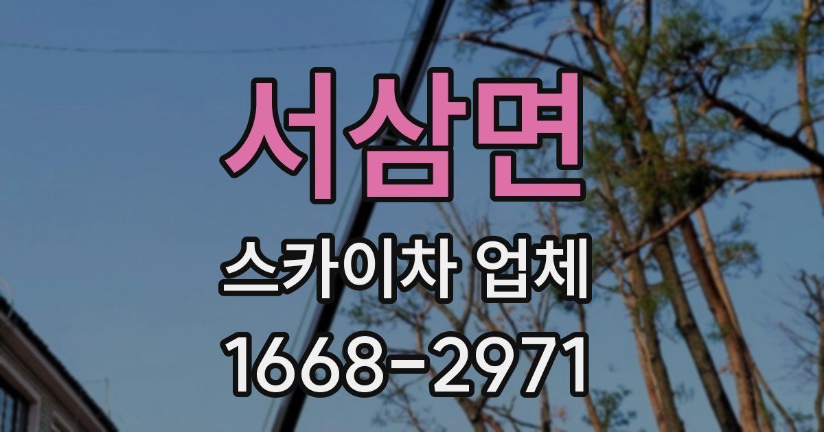 서삼면 스카이차 업체