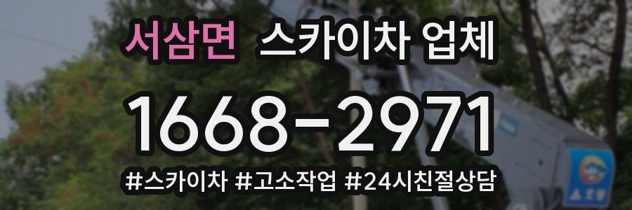 서삼면 스카이차 업체