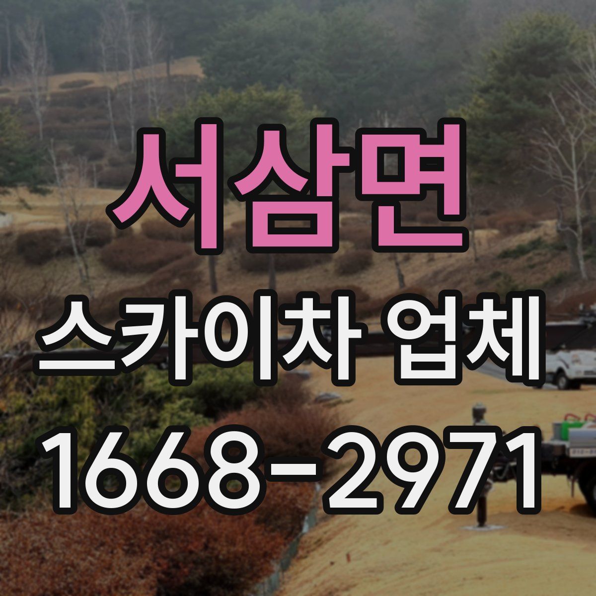 서삼면 스카이차 업체