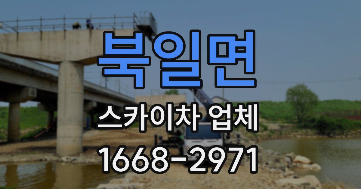 북일면 스카이차 업체