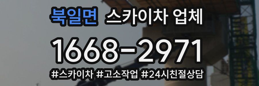 북일면 스카이차 업체