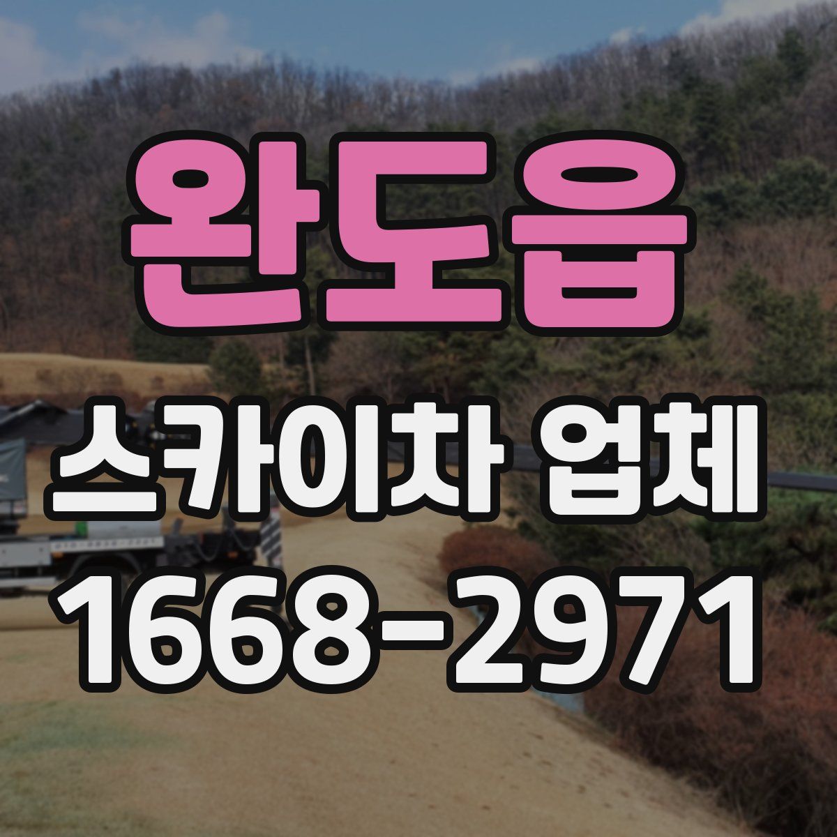 완도읍 스카이차 업체
