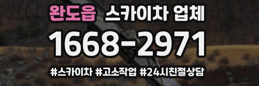 완도읍 스카이차 업체