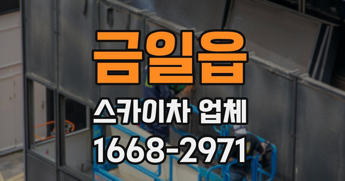 금일읍 스카이차 업체