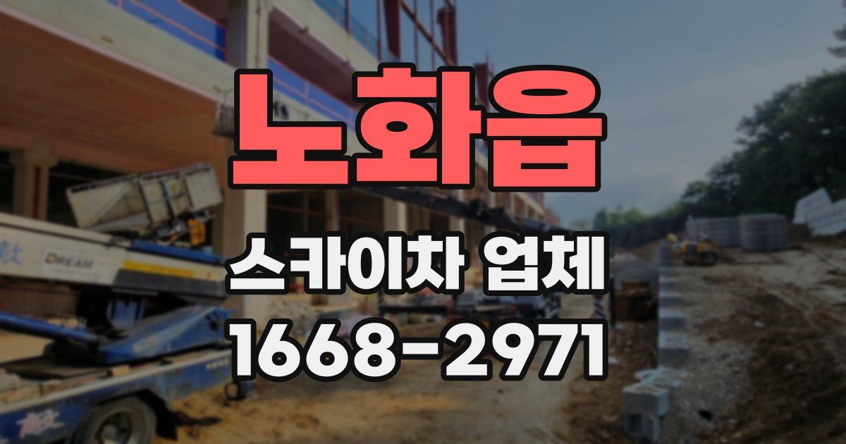 노화읍 스카이차 업체