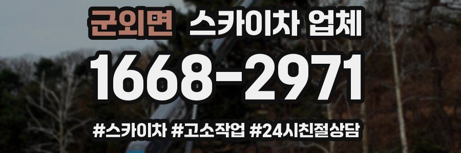 군외면 스카이차 업체