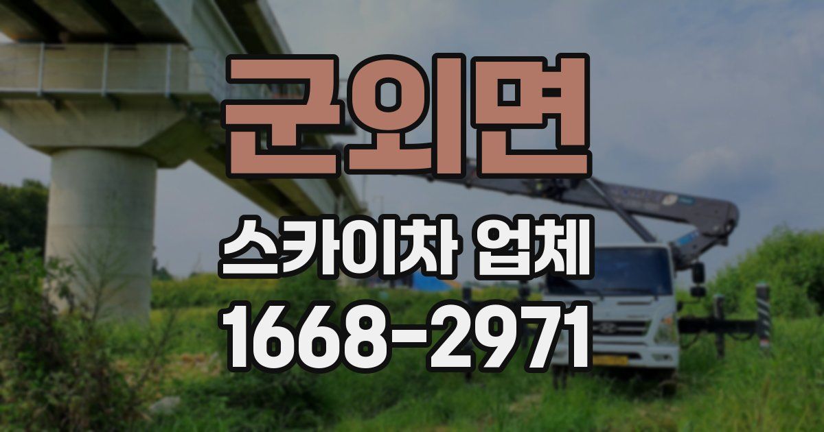 군외면 스카이차 업체