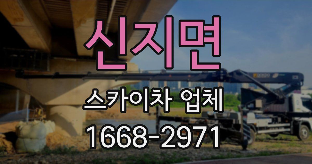 신지면 스카이차 업체