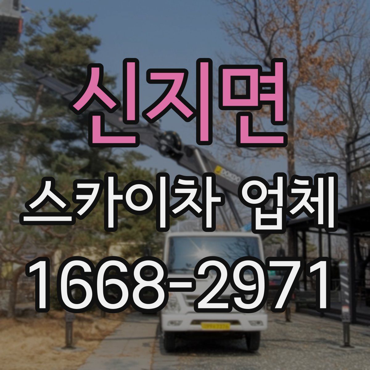 신지면 스카이차 업체