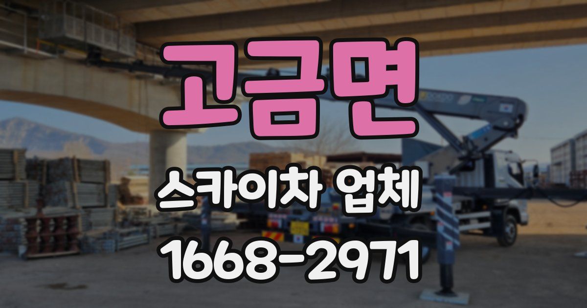 고금면 스카이차 업체