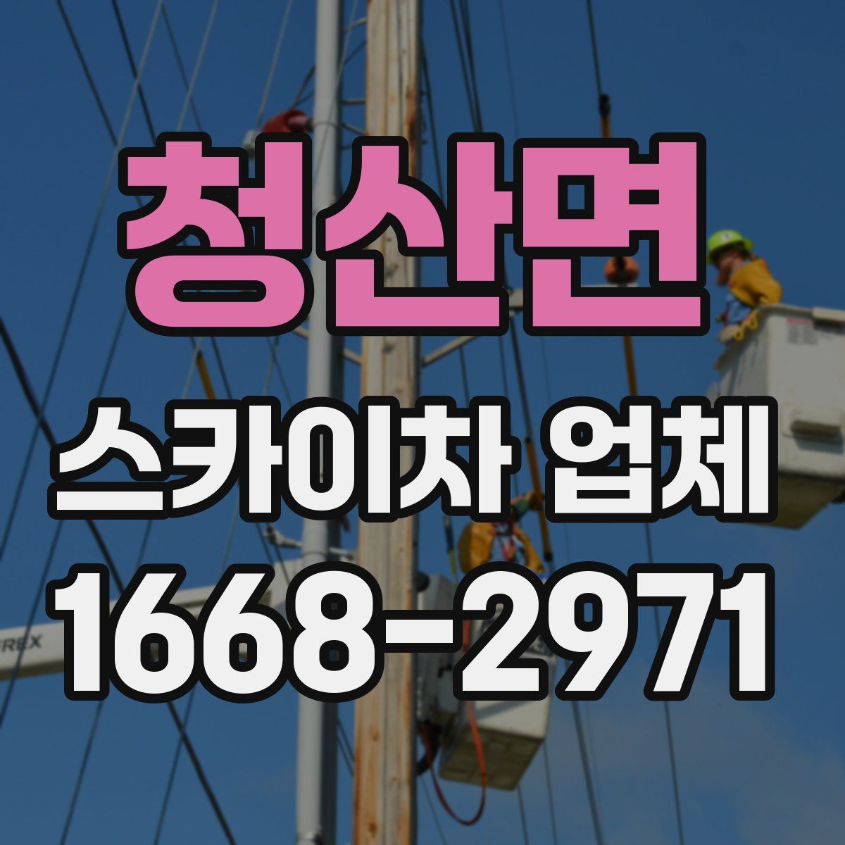 청산면 스카이차 업체