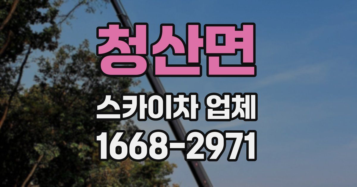 청산면 스카이차 업체