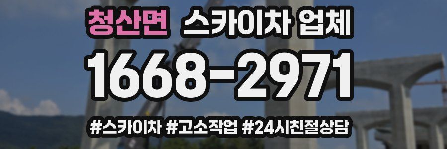 청산면 스카이차 업체