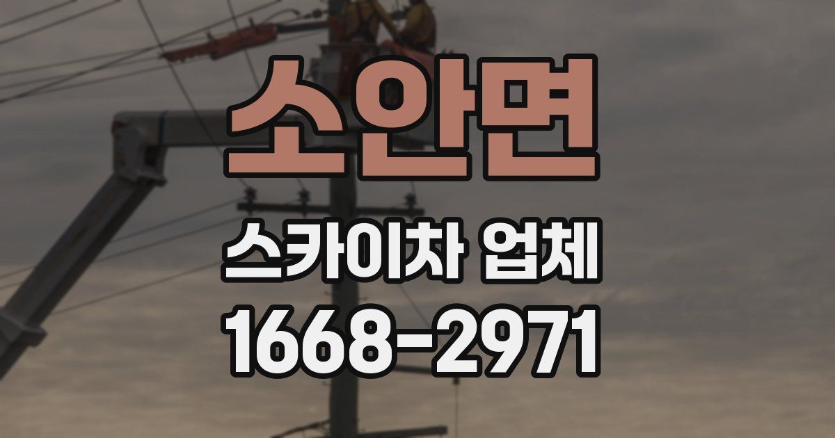 소안면 스카이차 업체