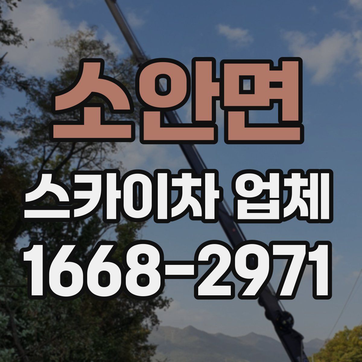 소안면 스카이차 업체