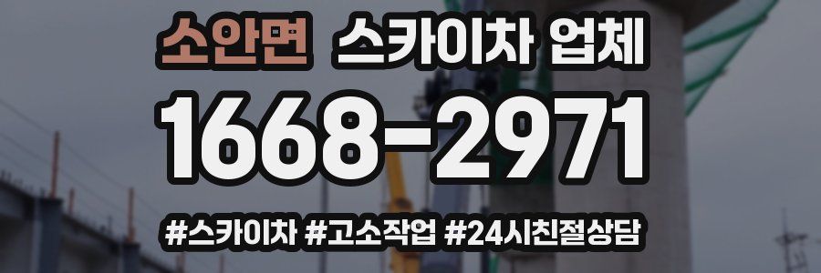 소안면 스카이차 업체