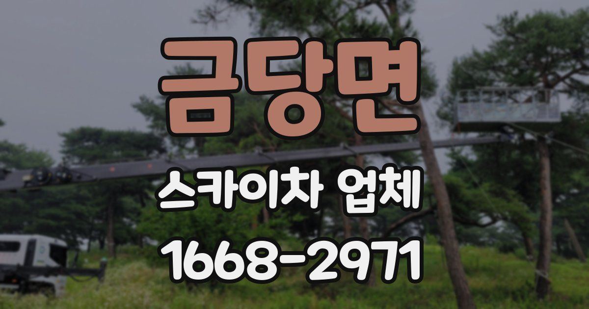 금당면 스카이차 업체