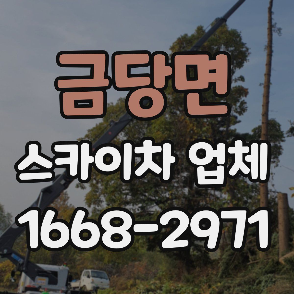 금당면 스카이차 업체