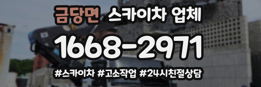 금당면 스카이차 업체