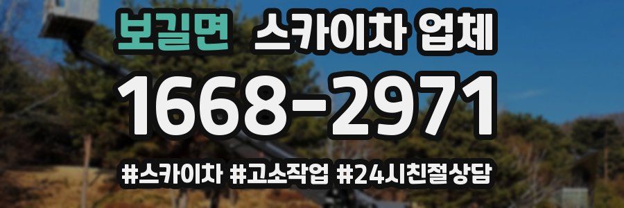 보길면 스카이차 업체